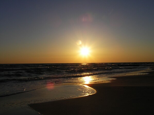On the beach - Pension Dünenhaus (Zempin)