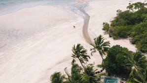 A beach resort with a swimming pool, palm trees, and a sandy beach. - Paru Boutique Hotel (Passo de Camaragibe)
