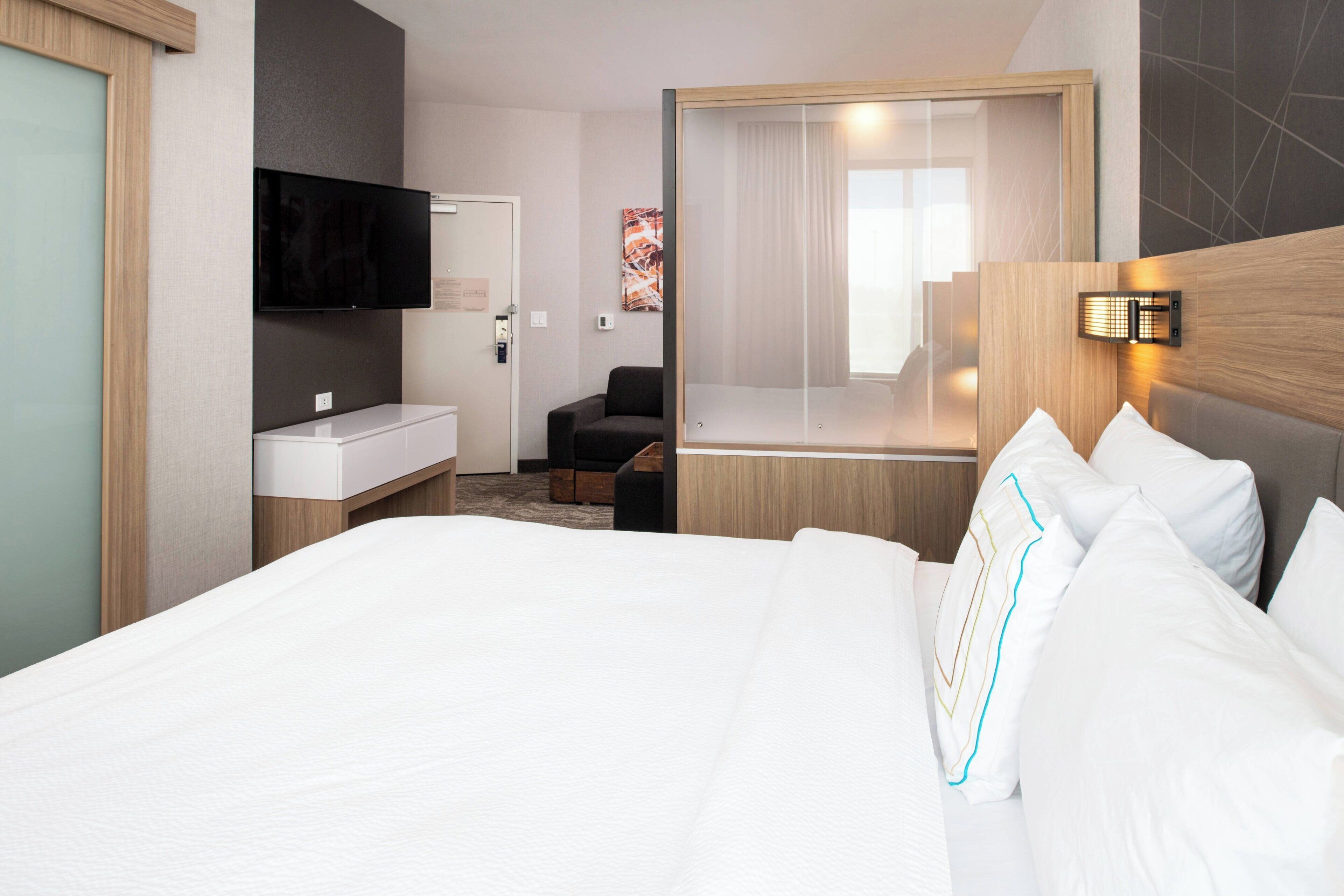 suite, 1 king bed with sofa bed, non smoking | 1 bedroom, individually furnished, desk, laptop workspace