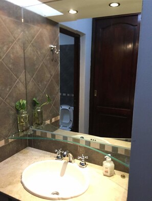 Un baño con un lavabo redondo, dos frascos de vidrio con plantas, una repisa de vidrio, un espejo y una puerta de madera oscura.