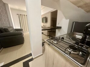 APARTASUITE 204 | Private kitchen
