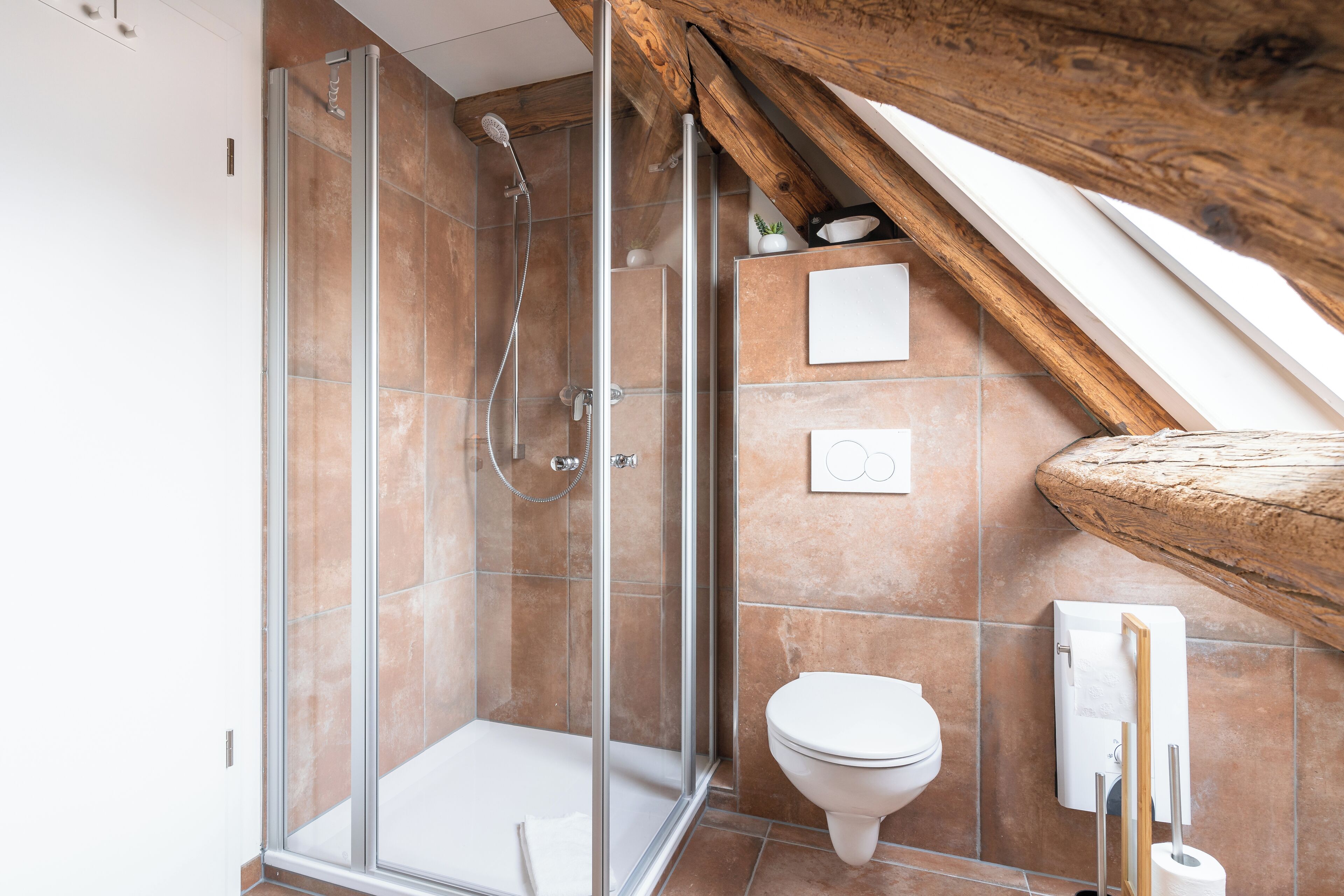 shower, free toiletries, hair dryer, towels