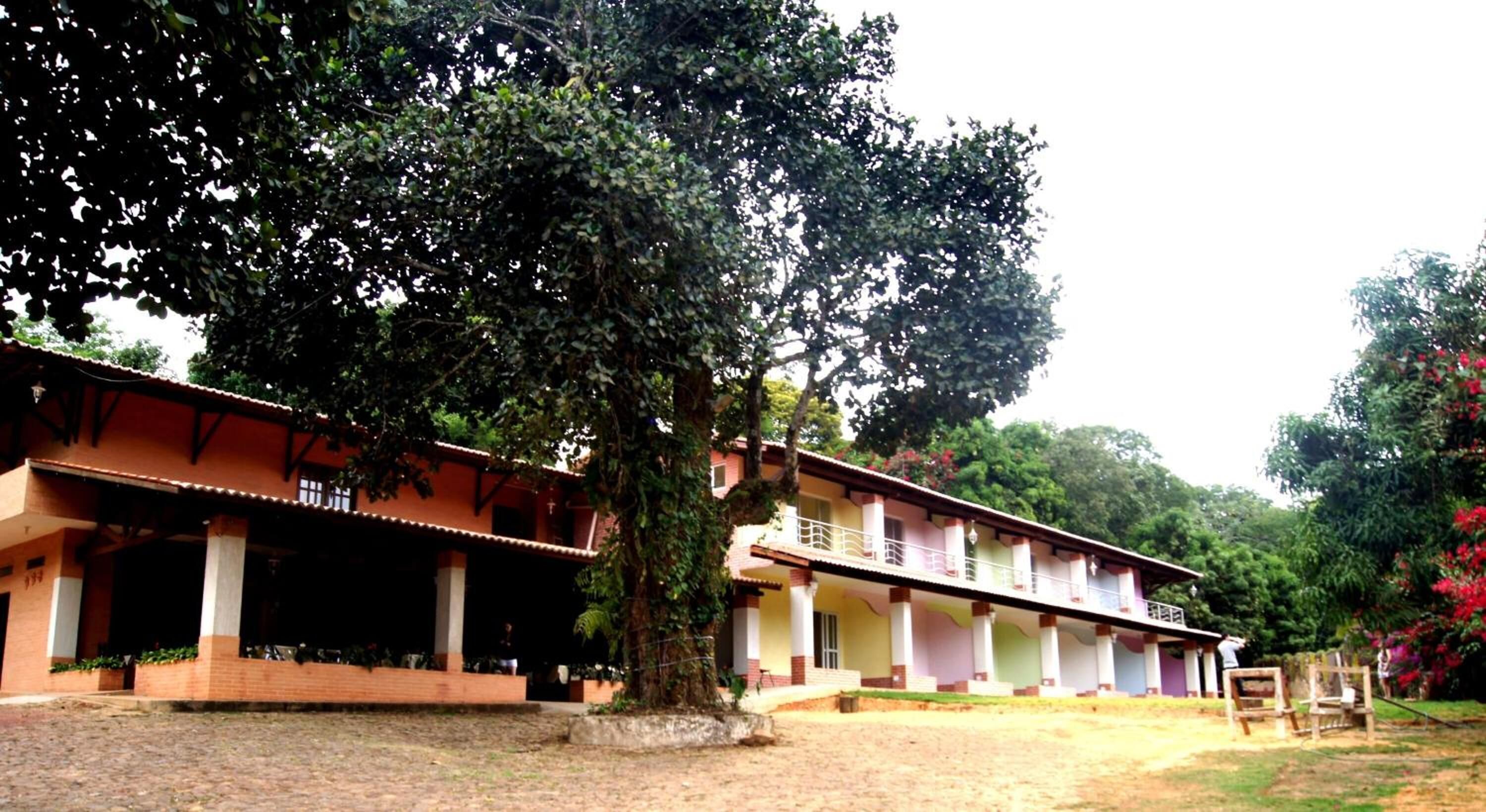 A building with a covered patio area, multiple columns, and a large tree in front.