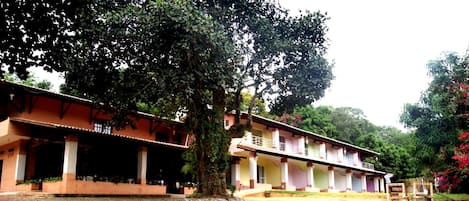 A building with a covered patio area, multiple columns, and a large tree in front.