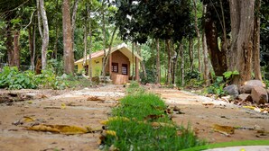 Une maison rustique en bois, dotée d’une façade en briques et d’une porte rouge, entourée d’une forêt dense et accessible par un sentier de terre.