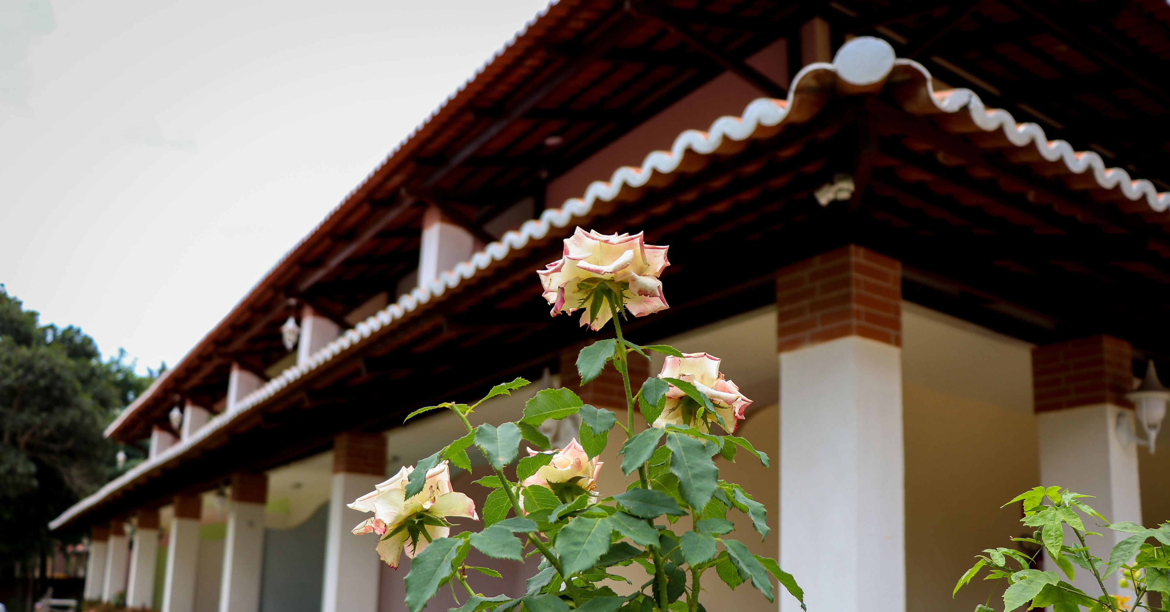 A building with a traditional architectural style, featuring a tiled roof and brick columns.