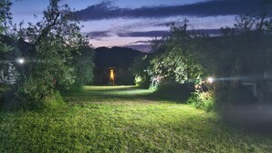 Espacio al aire libre iluminado de noche, con un cartel de recepción, un edificio a la distancia y vegetación circundante.