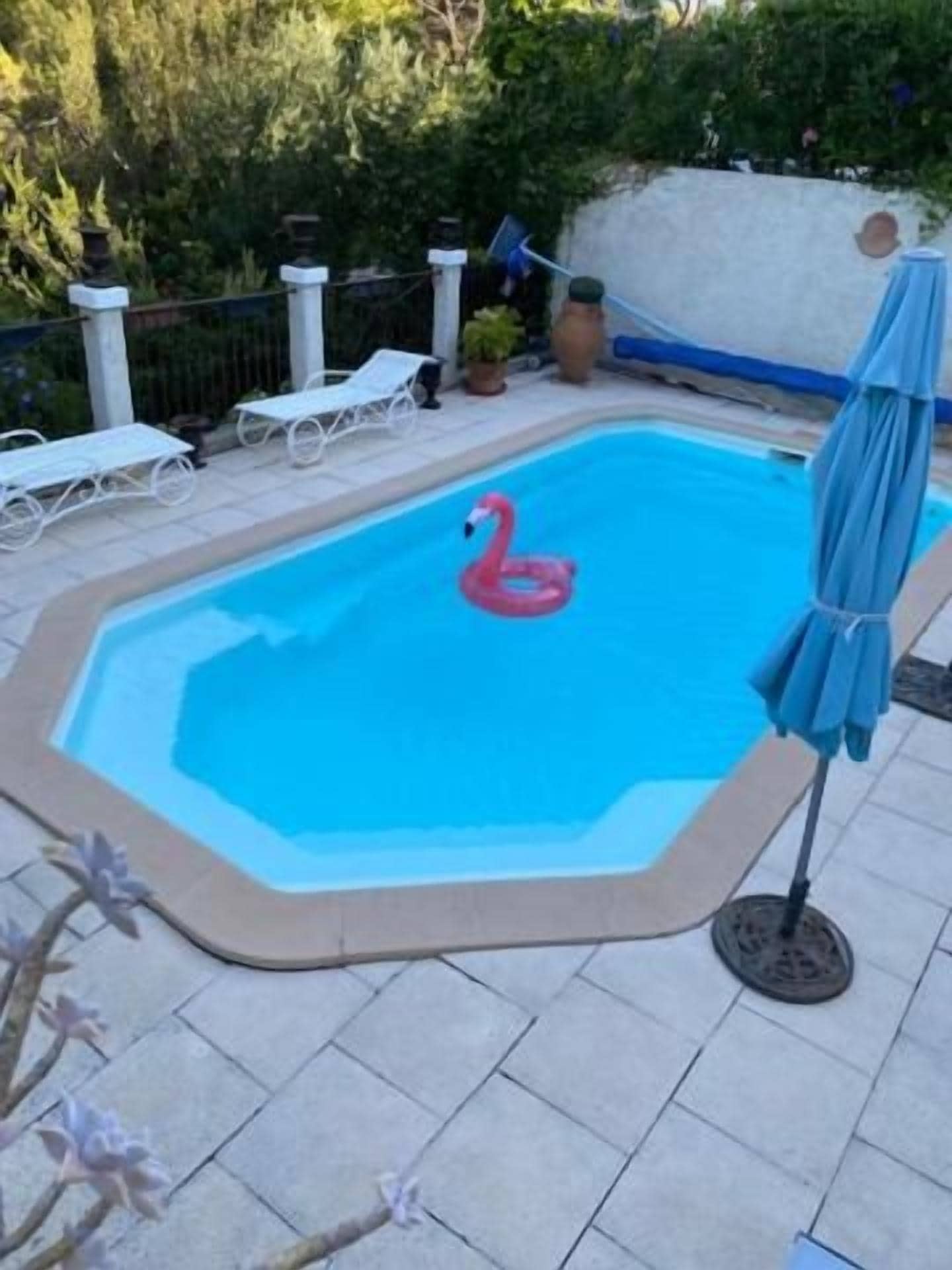 A swimming pool with a flamingo float, surrounded by lounge chairs and a blue umbrella.