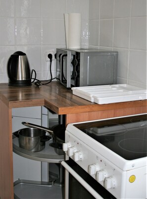 Frigorífico, microondas, horno y placa de cocina