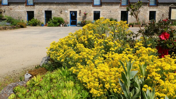 A stone building with multiple windows and doors, surrounded by a gravel driveway and a variety of yellow flowers. - Ti Er Mad (Kernascleden)