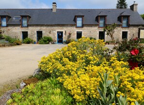 Un edificio de piedra con múltiples ventanas y puertas, rodeado por un camino de grava y una variedad de flores amarillas.