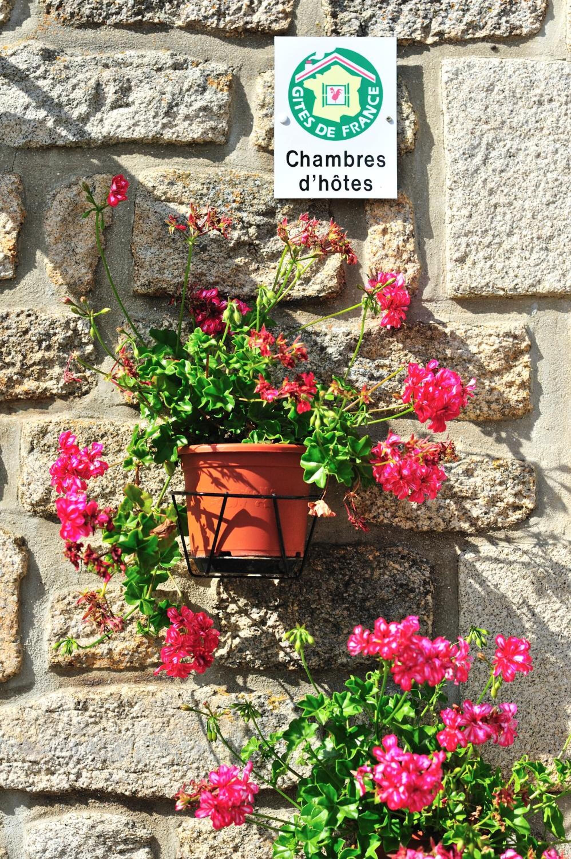 A stone wall with a sign reading "Chambres d'hôtes" and a potted plant with pink flowers.
