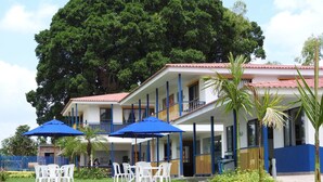 A hotel with a two-story structure, outdoor seating area with white plastic chairs and blue umbrellas, and a large tree in the background. - Finca Hotel San Jose (Montenegro)