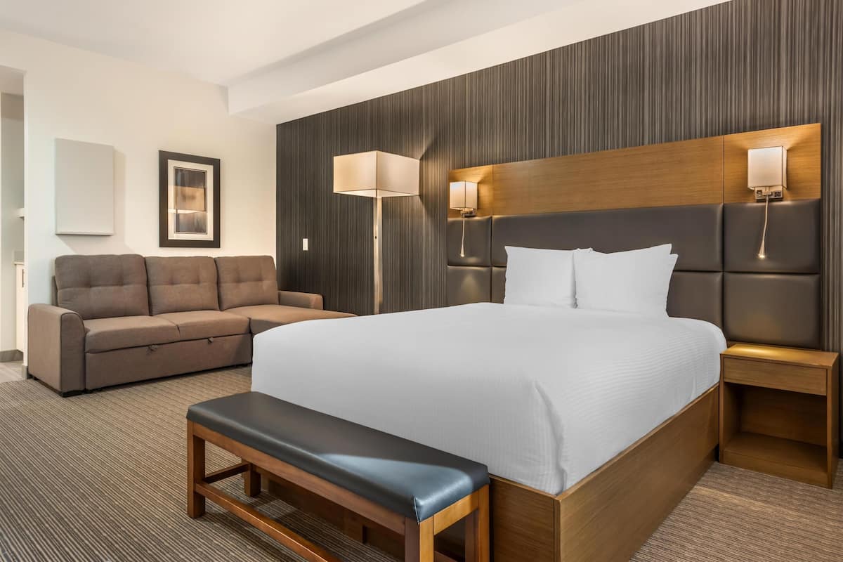 Una habitación de hotel con una cama grande, un banco, un sofá, dos lámparas fijadas a la pared y un cuadro enmarcado.