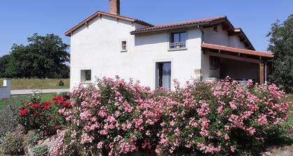 LARGE HOUSE IN THE COUNTRY