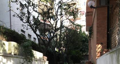 METROPOLITAN OASIS - Metro B1