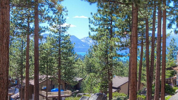 Property grounds - Pine Mountain Chalet (South Lake Tahoe)