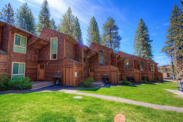 A row of wooden cabins with large windows and a grassy lawn.
