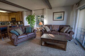 電視、壁爐、MP3 底座