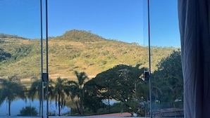 A view through a window with a mountain in the background, palm trees, and a body of water. - Pousada do Rio Turvo (Capitólio)