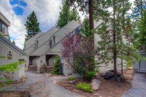 Property grounds - Alder Place (Incline Village)