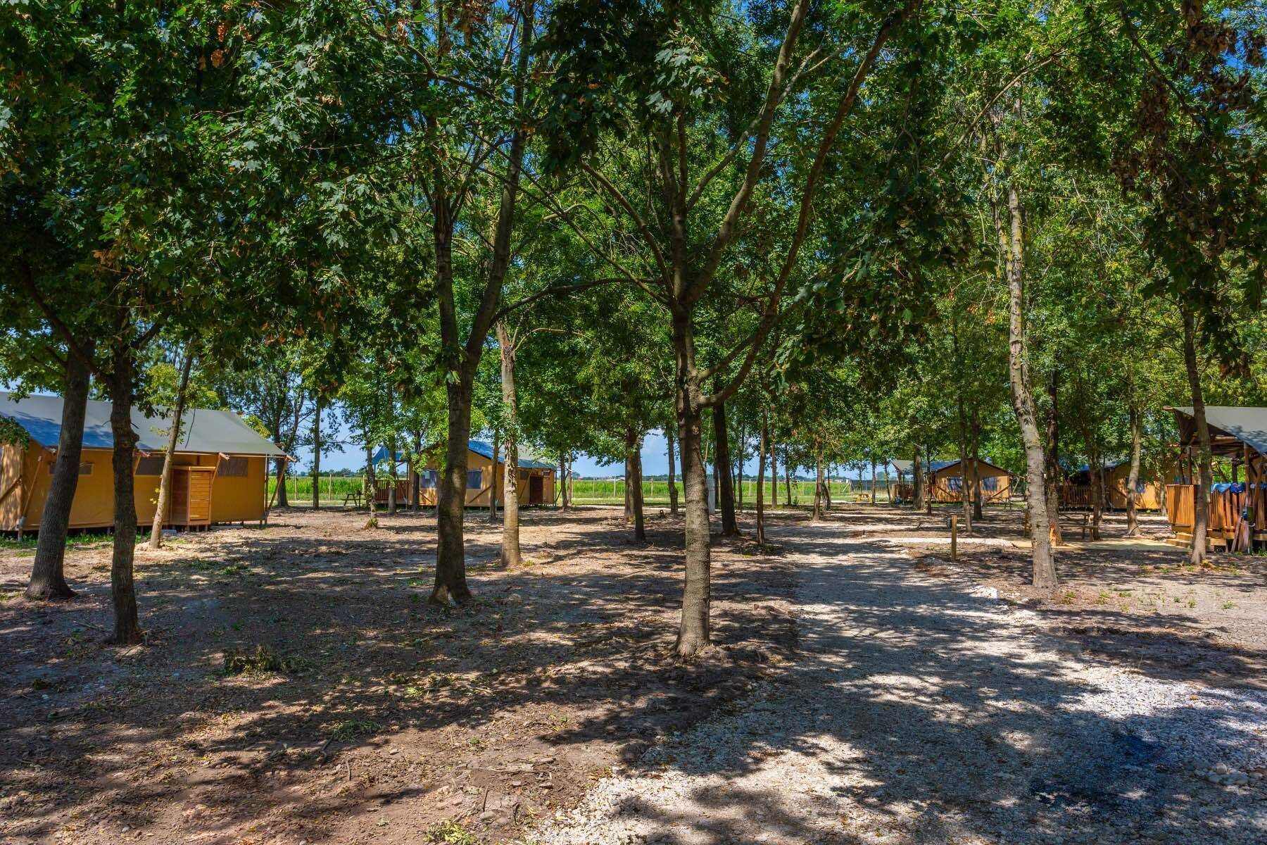 Un terrain de camping doté de plusieurs tentes et cabanes ombragées par les arbres.