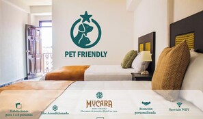A pet-friendly hotel room with a bed, nightstand, and pillows. It includes amenities like air conditioning, personalized attention, WiFi service, and cable TV. - Hotel Múcara (Veracruz)