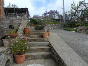Property grounds - romantic gallium vacation home (Sant'agnello)