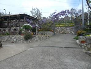 Property grounds - romantic gallium vacation home (Sant'agnello)