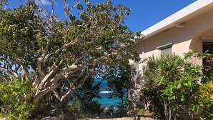 A coastal property with a gravel driveway, a large tree, and a view of the ocean. - Patricks Bay Villa (Island Harbour)