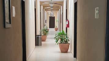 Pasillo