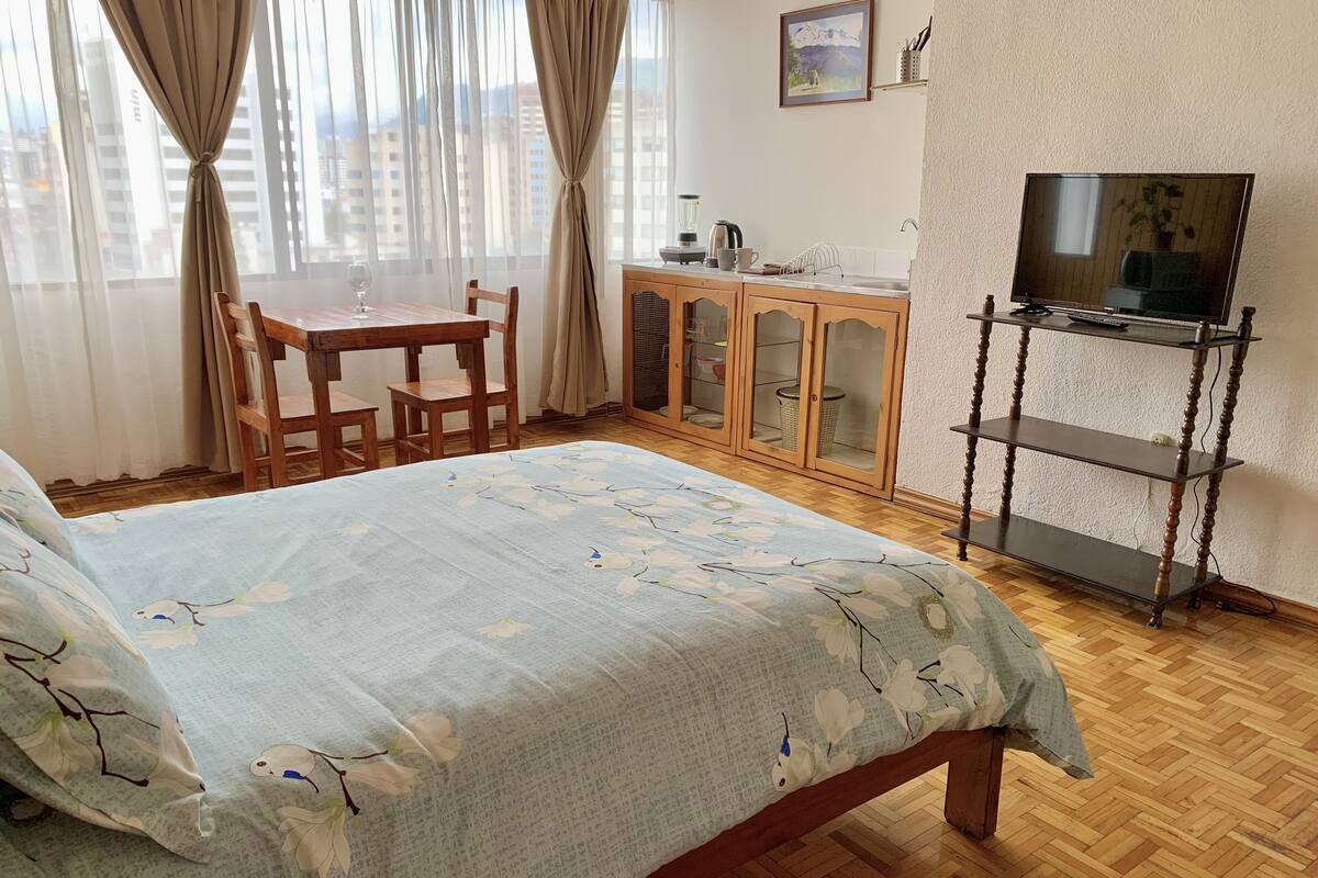 Executive Loft, 1 Double Bed, Refrigerator & Microwave, City View