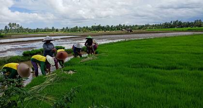 Sabirin Asri Homestay with the Farm View