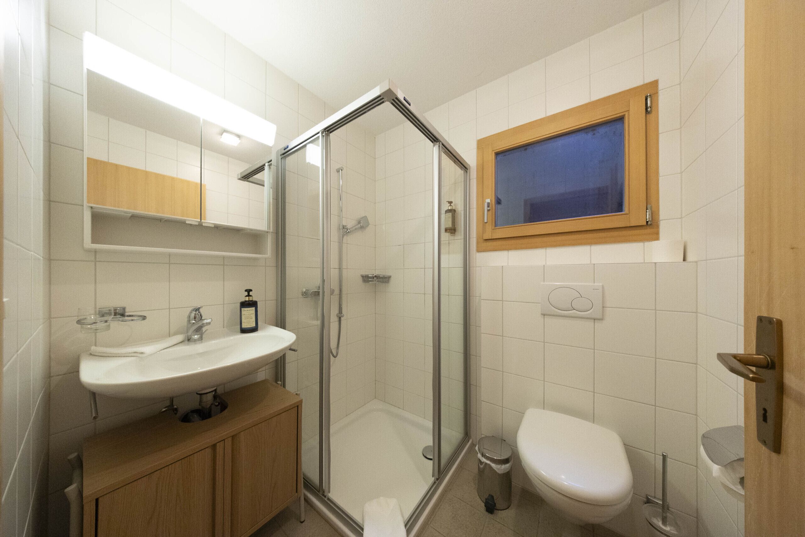 Een badkamer met een douche met glazen wand, een wastafel met spiegel erboven en een toilet.