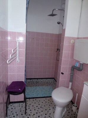 Shower, hair dryer