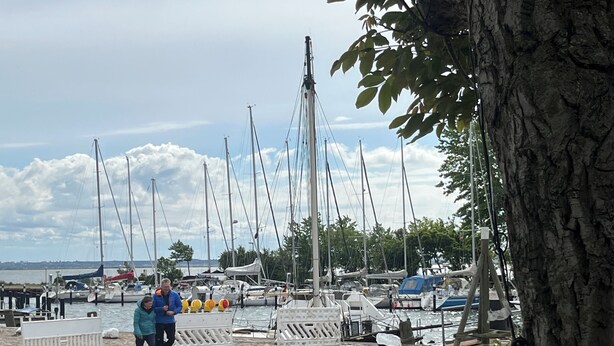 A marina with boats docked, a tree, and a person walking.