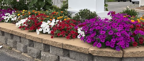 Fachada da propriedade