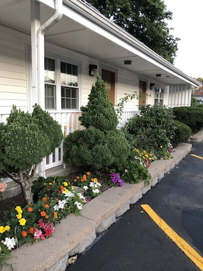 A row of white-framed windows, a small porch, and a variety of colorful flowers along the sidewalk. - Chisholms Motor Inn (Saugus)