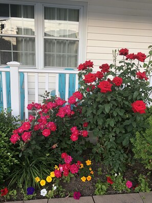 Exterior - Chisholms Motor Inn (Saugus)