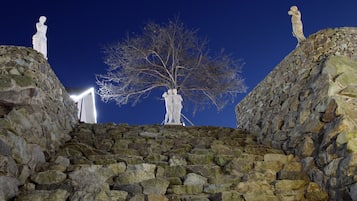 A stone staircase with statues on either side, leading up to a tree.