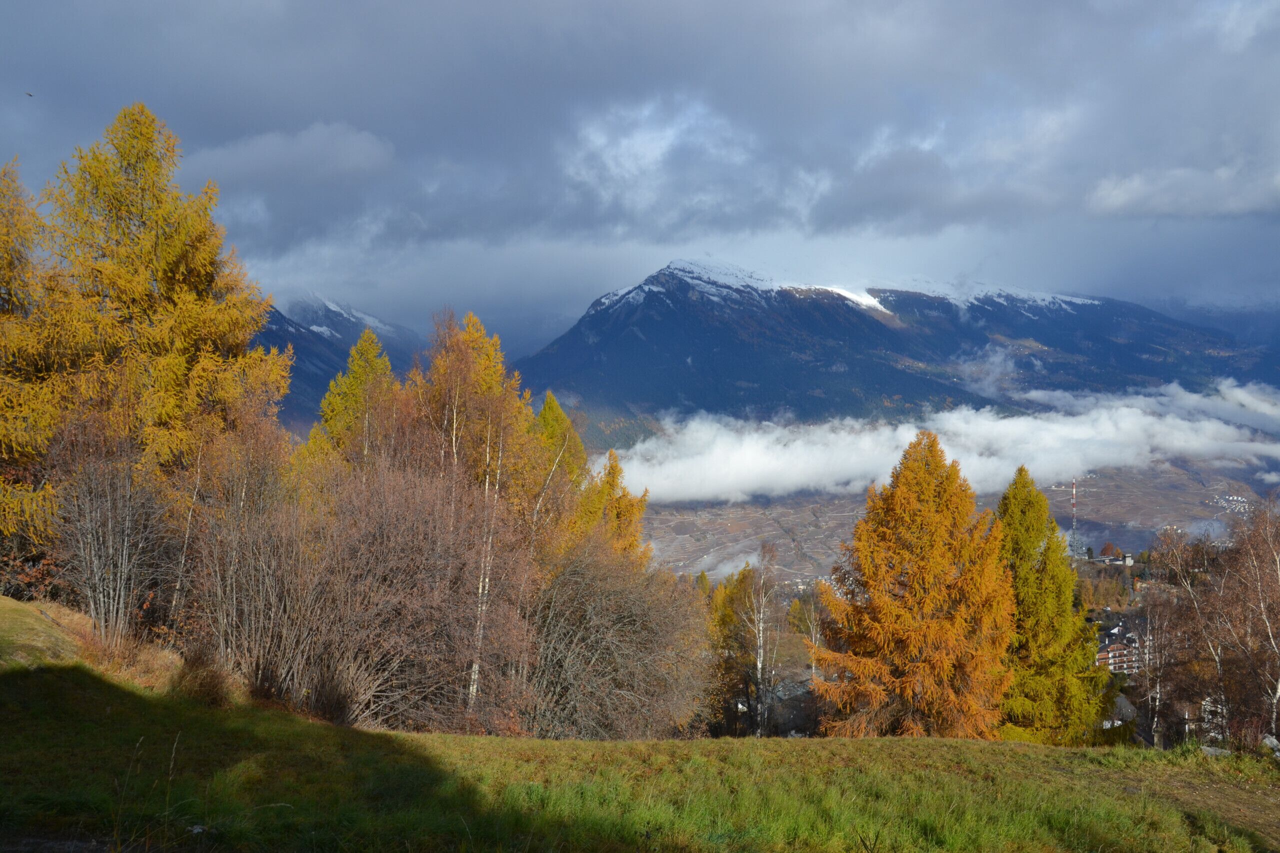 A mountainous landscape with autumn foliage and a snow-capped peak in the background.