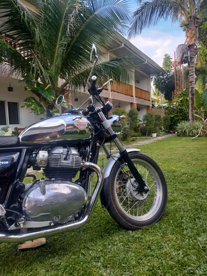 Exterior - Hotel Renate (Panglao)