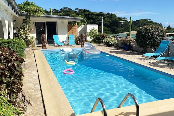 Outdoor pool, sun loungers