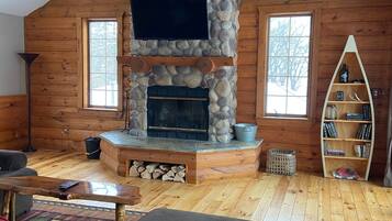 Televisión, chimenea, libros