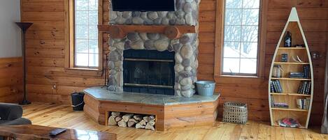 TV, fireplace, books