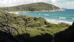Un paisaje costero con playa, vegetación y una colina al fondo.