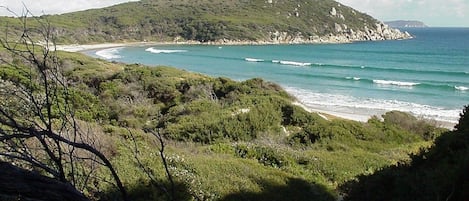 A coastal landscape with a beach, greenery, and a hill in the background.