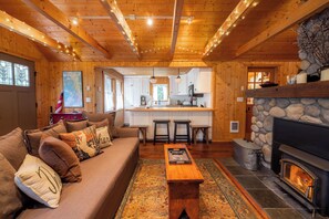 TV, fireplace, DVD player, books