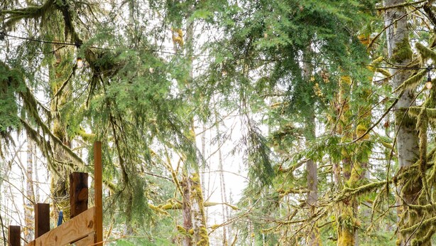A hot tub in a forested area with steps leading up to it.