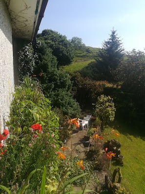 Tuin